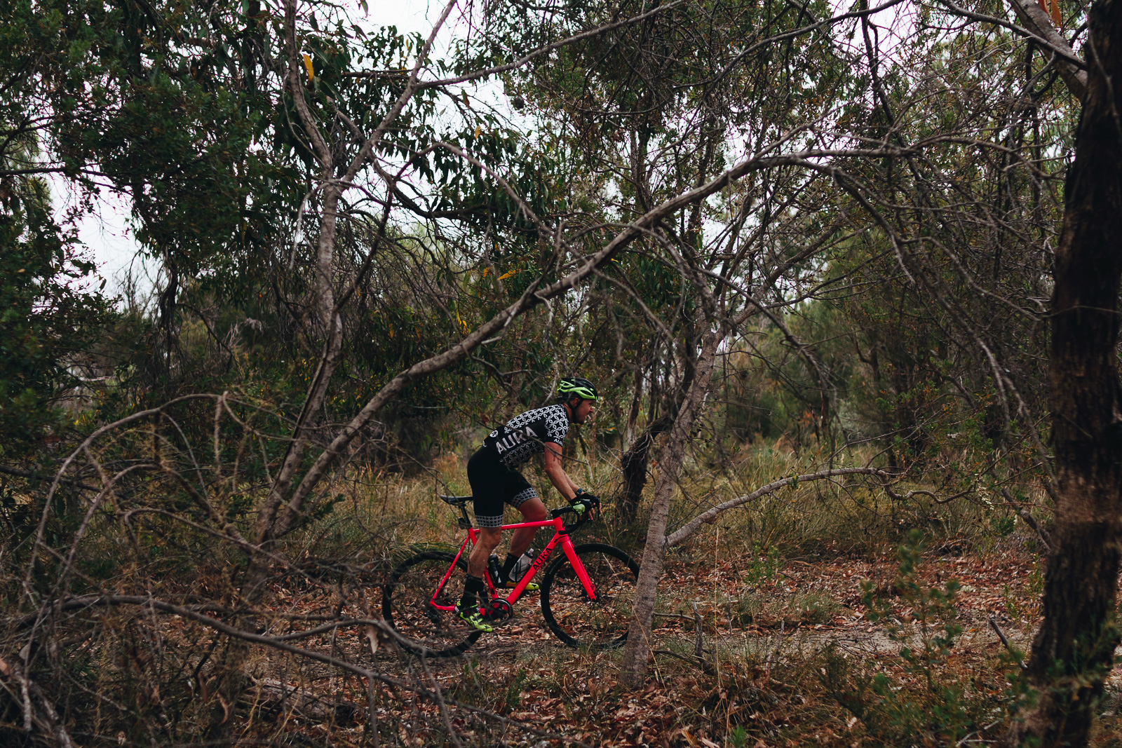 ionos cycling